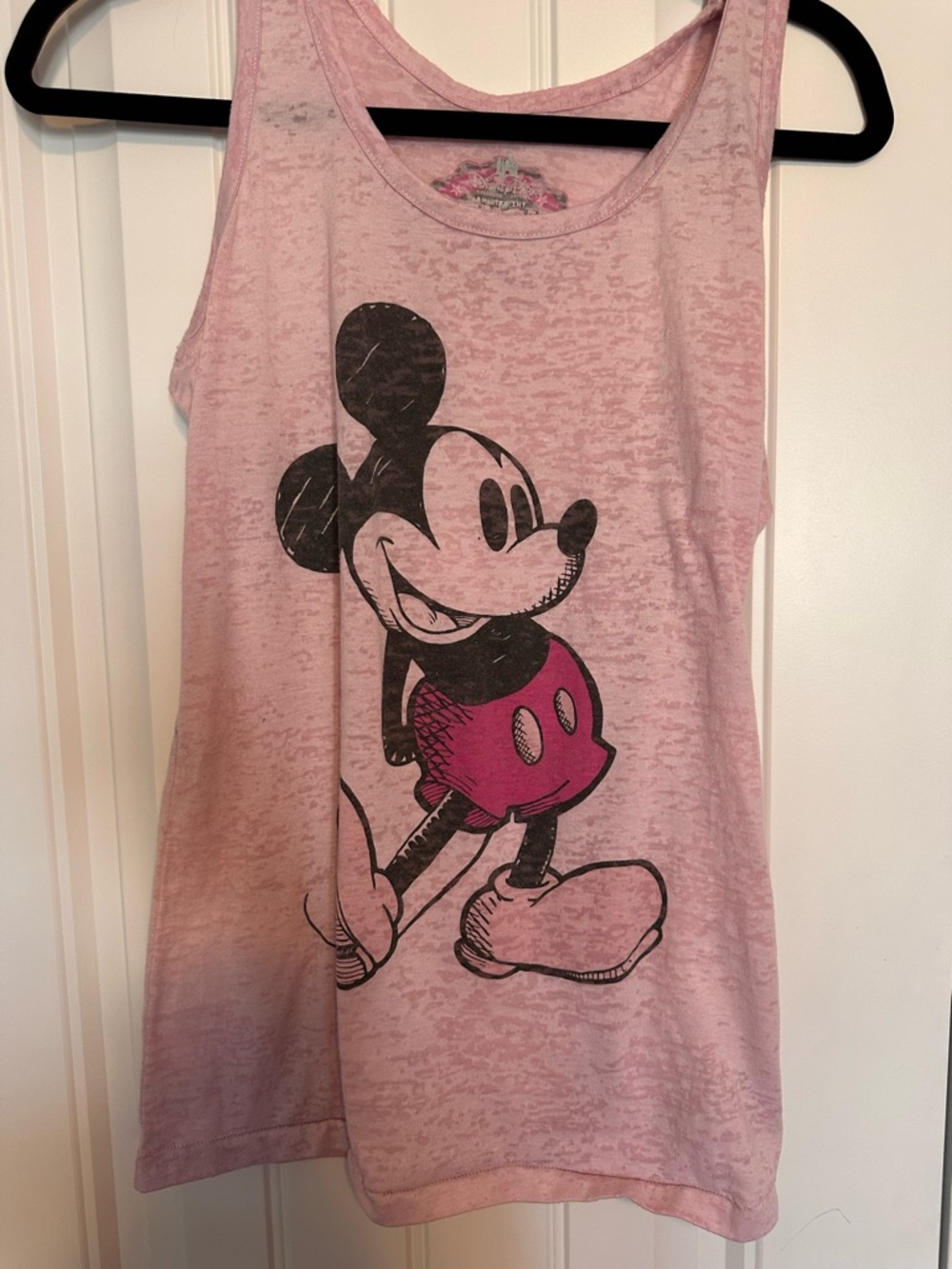 Disney Parks Tank